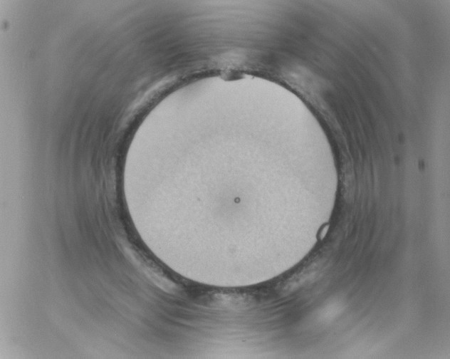 X0000064040442200602242324