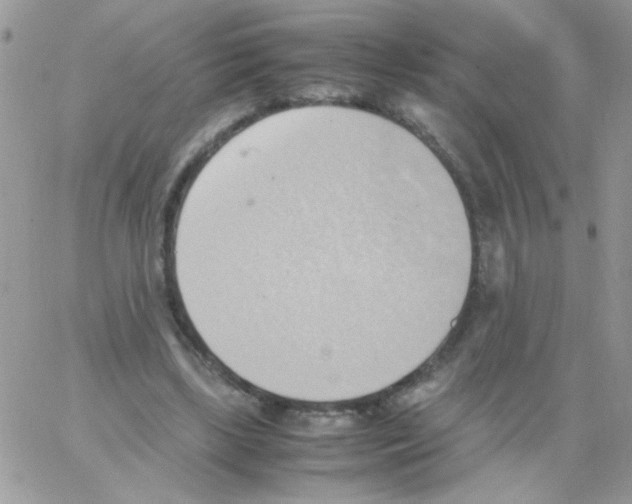 X0000064040443200602242324