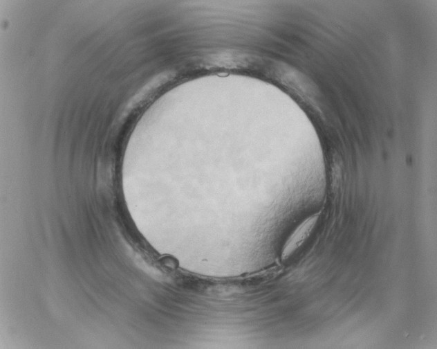 X0000064040444200602242324