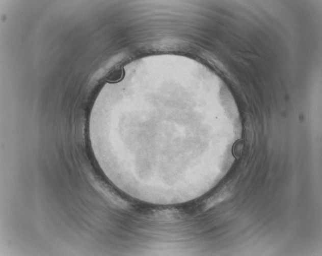 X0000064040446200602242324