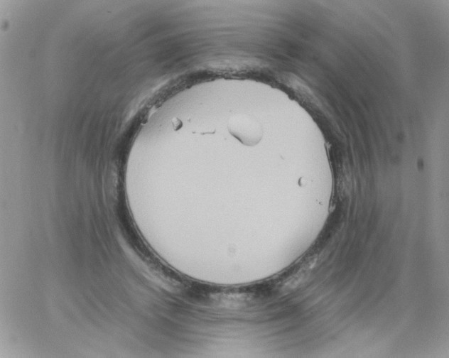 X0000064040448200602242324