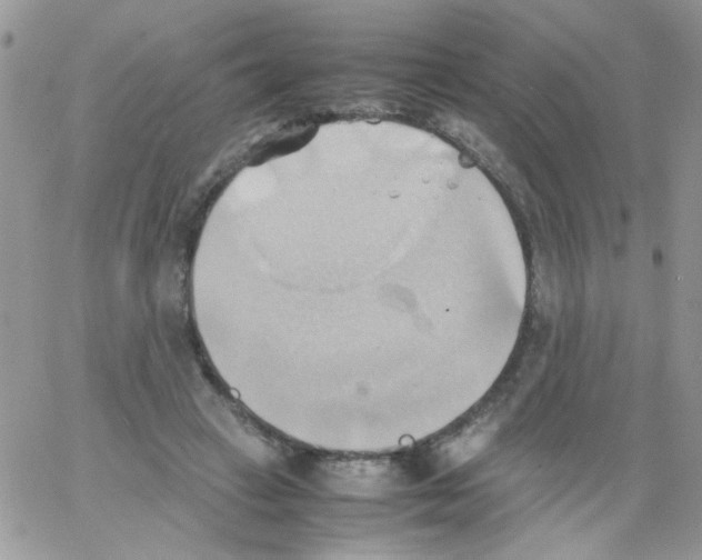 X0000064040449200602242324