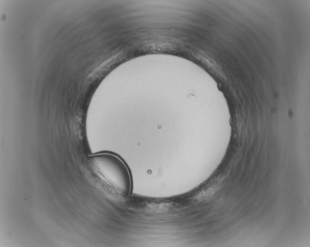 X0000064040450200602242324