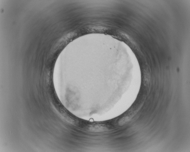 X0000064040451200602242325