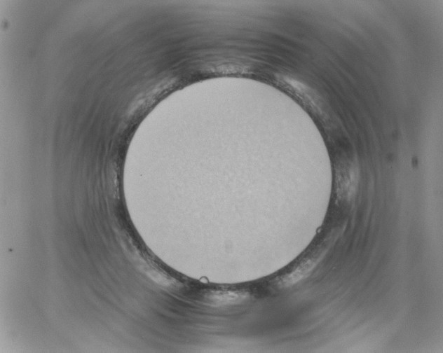 X0000064040453200602242325