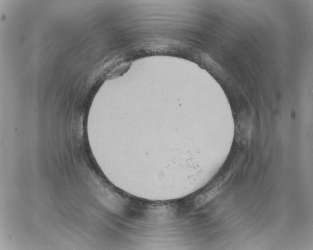 X0000064040454200602242325