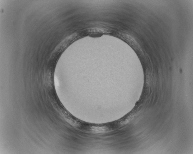 X0000064040457200602242325