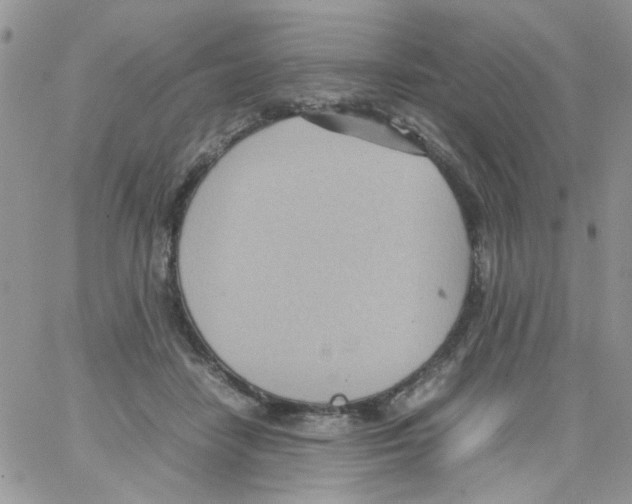 X0000064040458200602242325