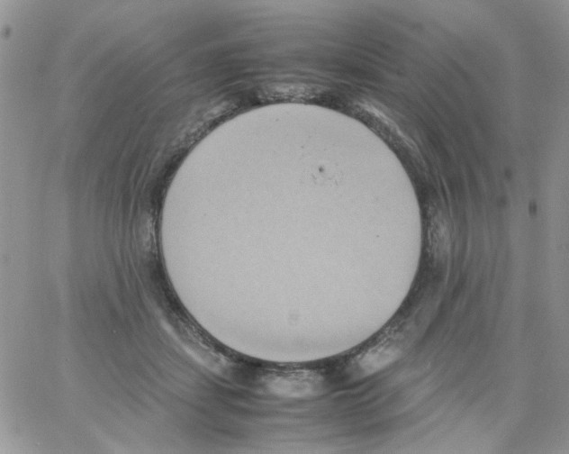 X0000064040459200602242325