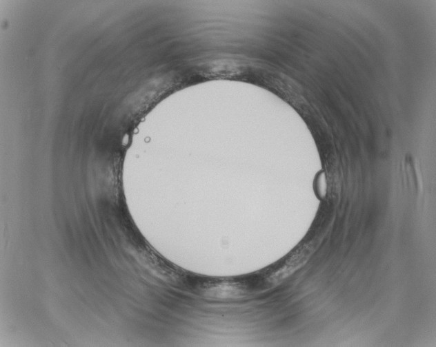 X0000064040460200602242325