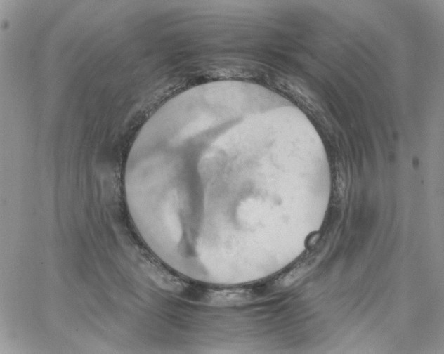 X0000064040461200602242325