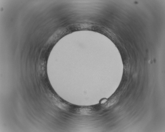 X0000064040462200602242325