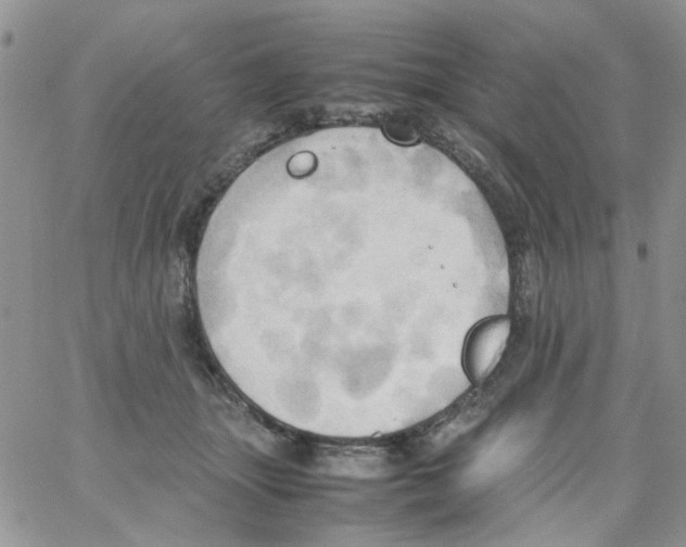 X0000064040463200602242325