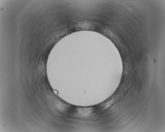 X0000064040465200602242325