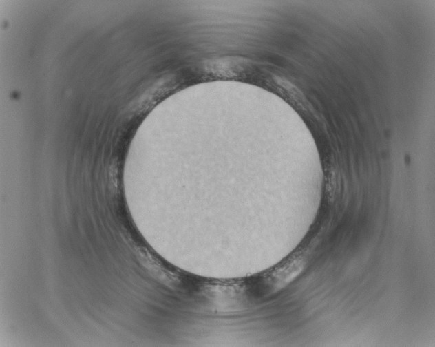 X0000064040466200602242325