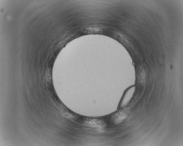 X0000064040467200602242325