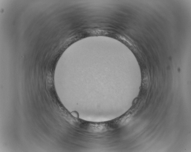 X0000064040469200602242325