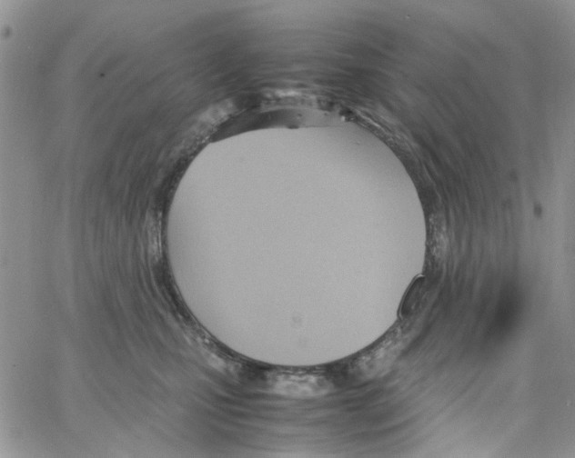 X0000064040471200602242325