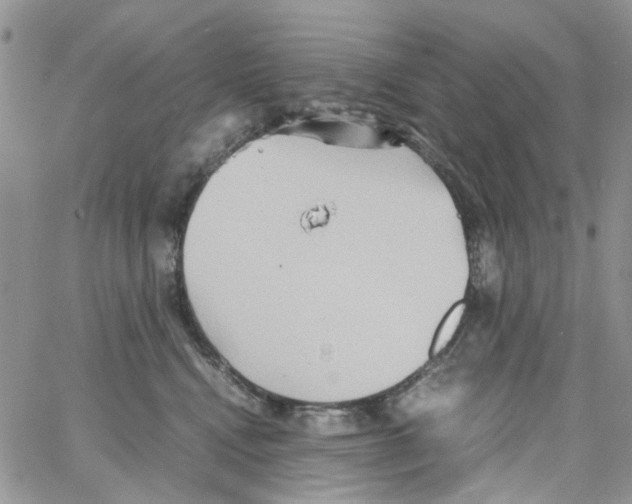 X0000064040472200602242325