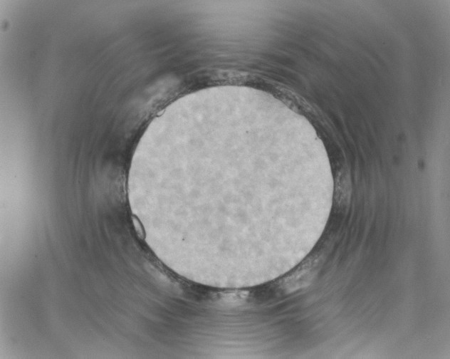 X0000064040474200602242325