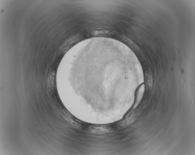 X0000064040475200602242325