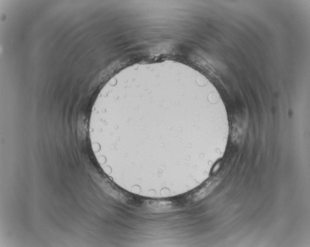 X0000064040476200602242325