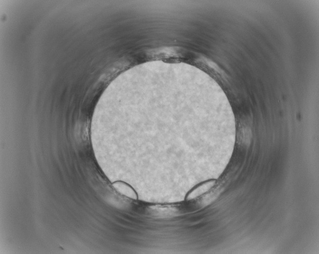 X0000064040477200602242325