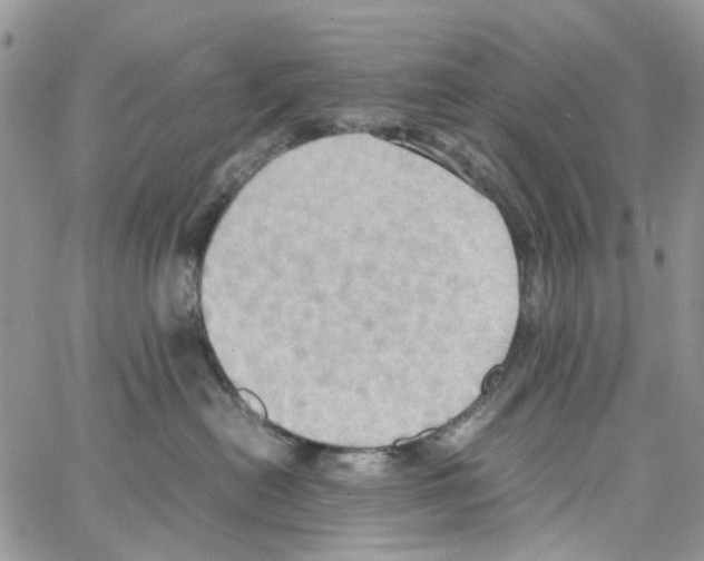 X0000064040478200602242325