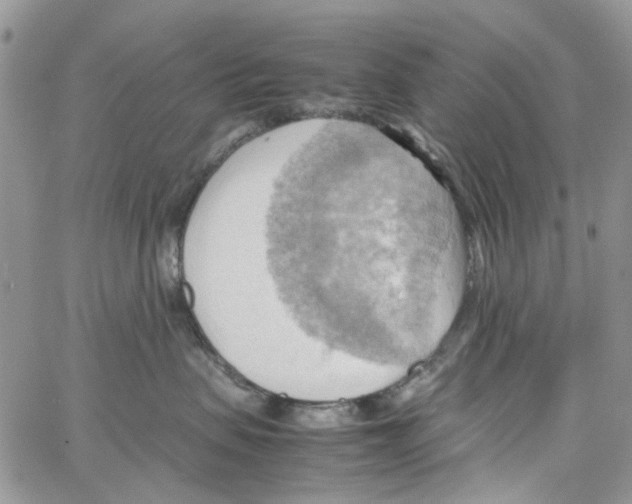 X0000064040479200602242325