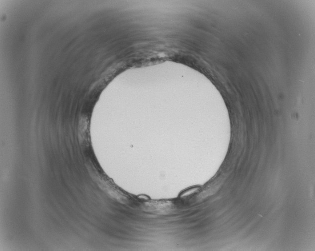 X0000064040480200602242325