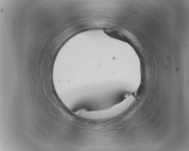 X0000064040481200602242324