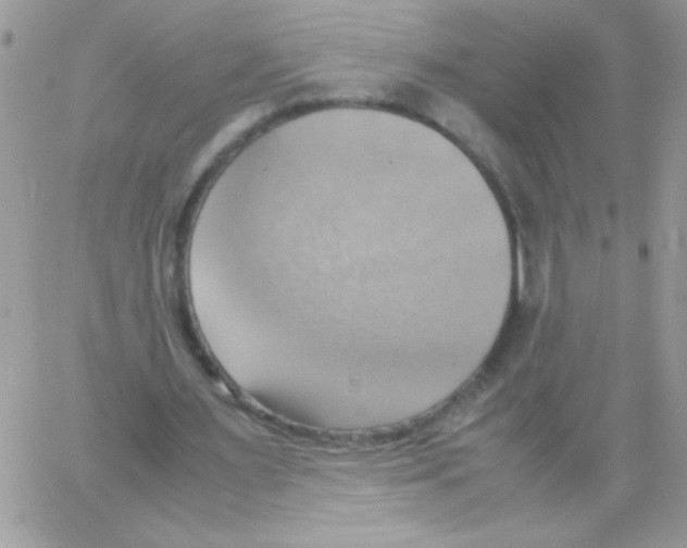 X0000064040483200602242324