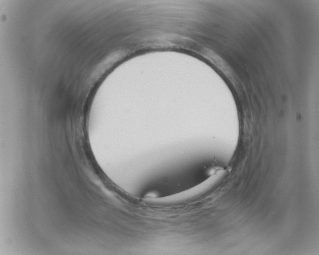 X0000064040485200602242324