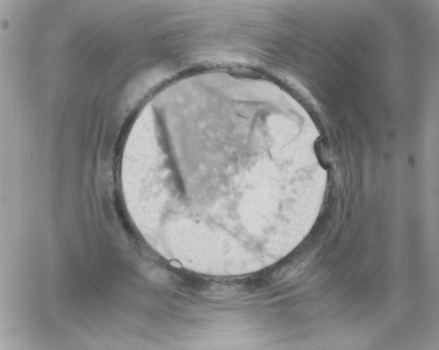 X0000064040487200602242324