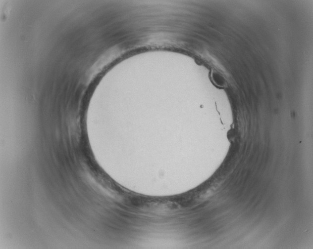 X0000064040488200602242324