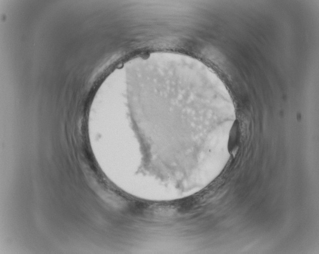 X0000064040491200602242324