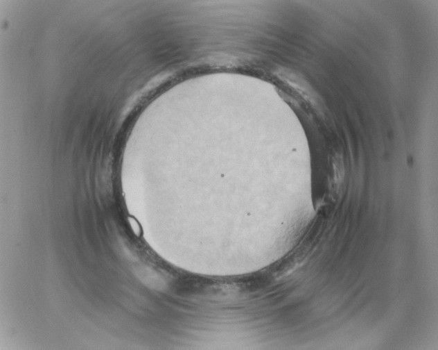 X0000064040492200602242324