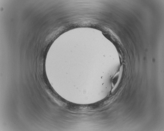 X0000064040493200602242324