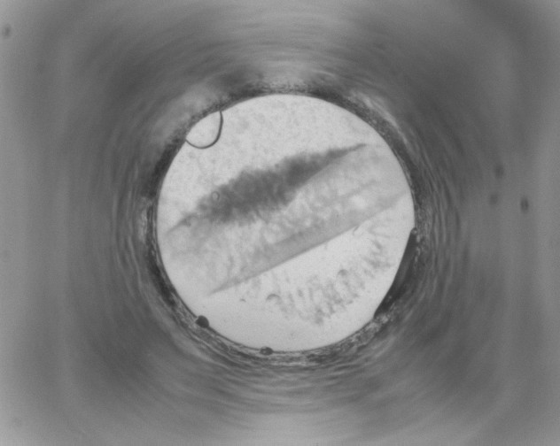 X0000064040495200602242324