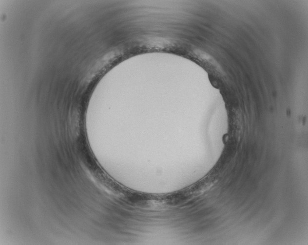 X0000064040496200602242324