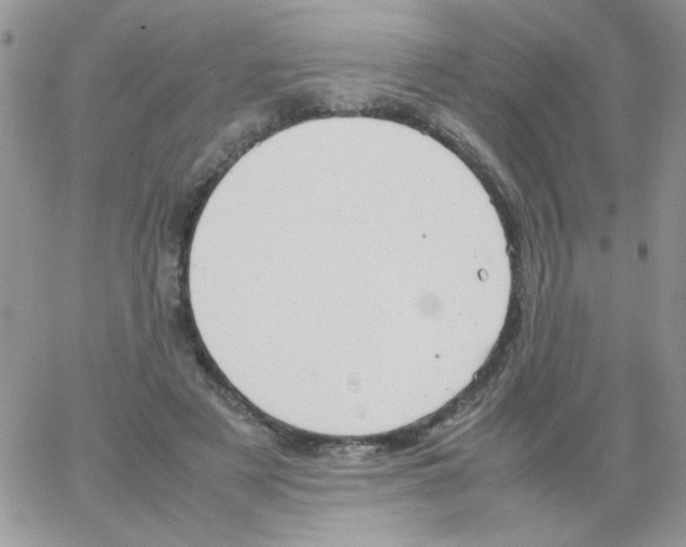 X0000064040497200602242324