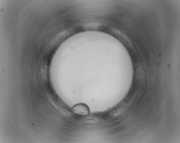 X0000064040498200602242324