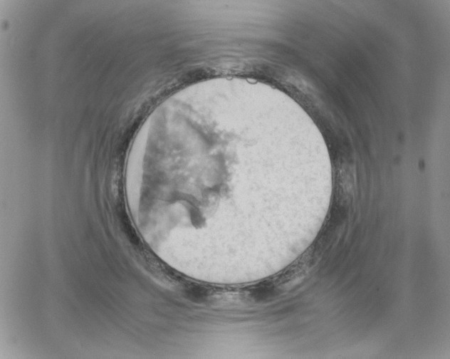 X0000064040499200602242324