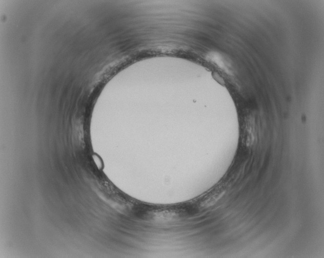 X0000064040500200602242324