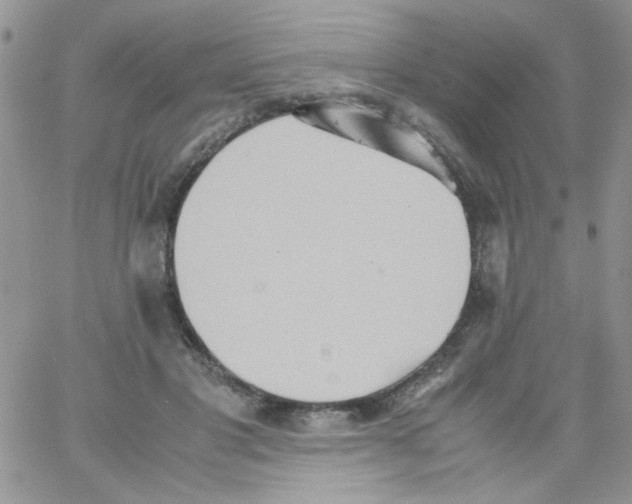 X0000064040501200602242324