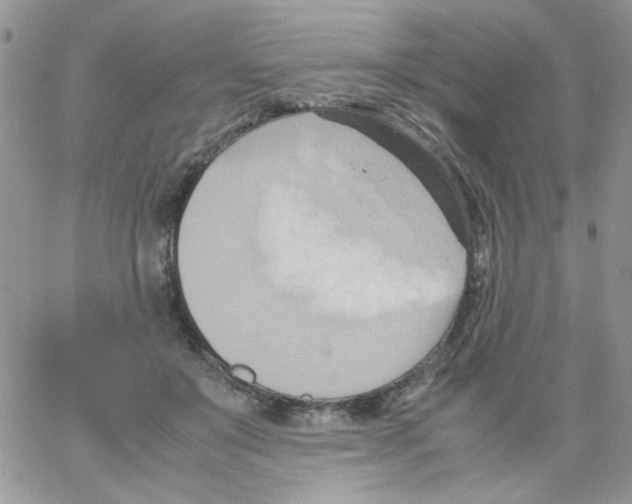 X0000064040503200602242324