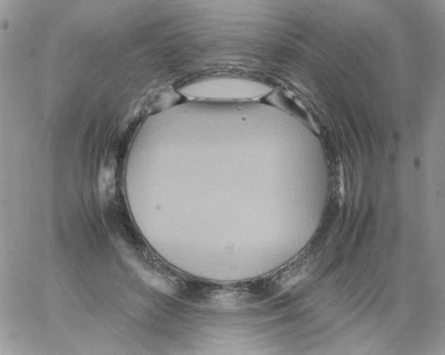 X0000064040504200602242324