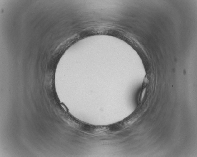 X0000064040505200602242324