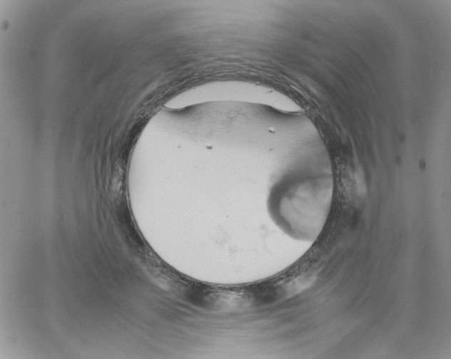 X0000064040507200602242324