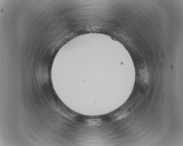 X0000064040508200602242324